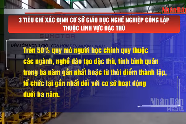 [Video] 3 tiêu chí xác định cơ sở giáo dục nghề nghiệp công lập thuộc lĩnh vực đặc thù