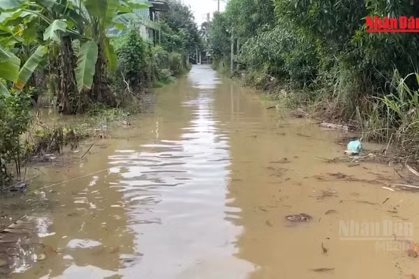 [Video] Khu dân cư cạnh cao tốc Biên Hòa-Vũng Tàu lần thứ 3 ngập trong 3 tuần