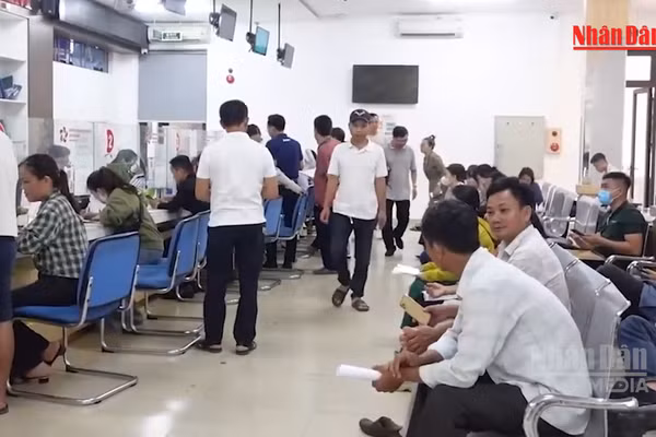 [Video] Không để hồ sơ qua môi giới được ưu tiên khi làm thủ tục về đất đai