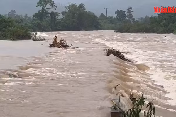 [Video] Quảng Trị chủ động cho học sinh nghỉ học tại khu vực không an toàn do mưa lũ
