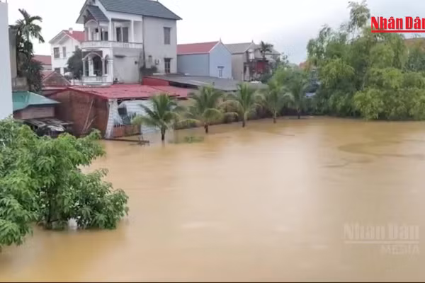 [Video] Hà Nội quy định tiêu chí phòng, chống thiên tai đối với nhà ở hộ gia đình