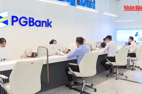 [Video] Chính phủ yêu cầu chấm dứt cho vay tập trung vào doanh nghiệp “sân sau”