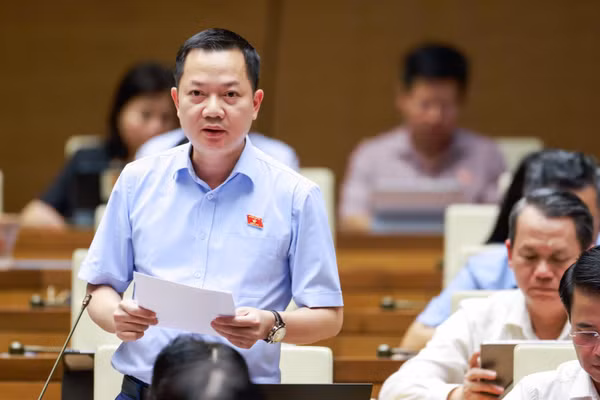 Đại biểu Quốc hội: Quản lý mật độ chăn nuôi gắn với sức chịu tải thực tế