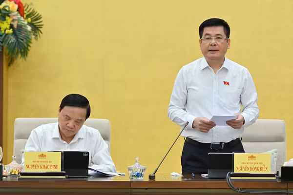 Phó Chủ tịch Quốc hội Nguyễn Hồng Diên phát biểu tại phiên họp. (Ảnh: THỦY NGUYÊN)