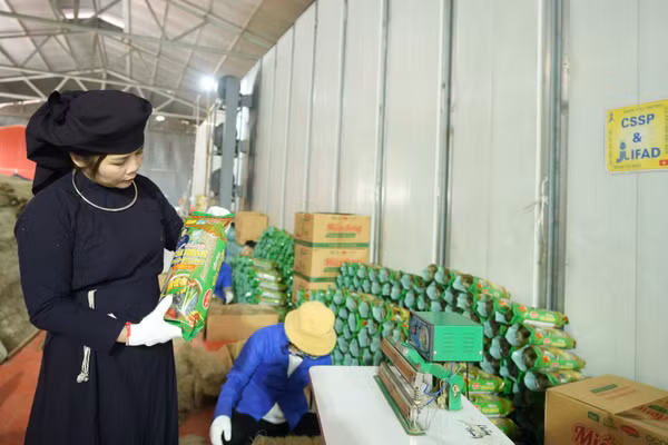 Dự án góp phần hỗ trợ và khuyến khích phụ nữ trong chuyển đổi xanh. (Ảnh: CTV)