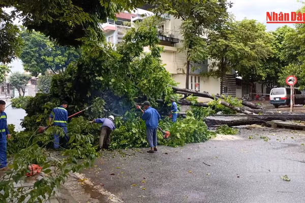 [Video] Chủ động phòng ngừa mất an toàn điện trong mùa mưa bão