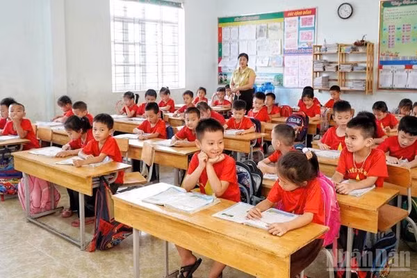 Nghệ An sắp xếp lại 647 trường, giảm gần một nửa số đầu mối. (Ảnh: ĐÌNH PHƯỢNG)