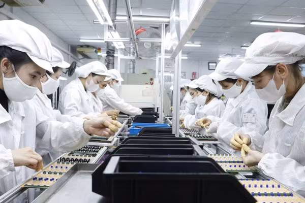 ESG và hành trình Go Global: Xây dựng uy tín để doanh nghiệp Việt “được lựa chọn”. (Ảnh: ĐỖ BẢO)