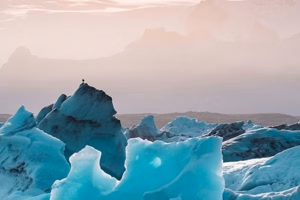 Ảnh: UNEP