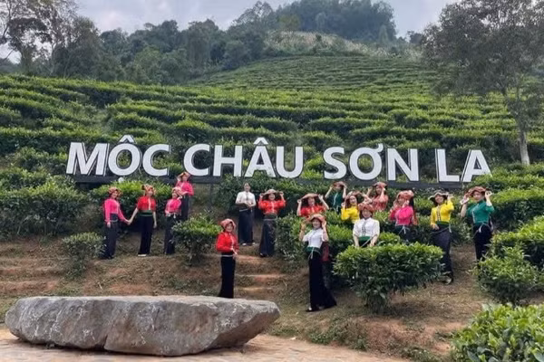 Trong dịp nghỉ lễ 30/4-1/5 năm 2026, các hoạt động du lịch tại khu du lịch Quốc gia Mộc Châu được tổ chức sôi động, đa dạng.