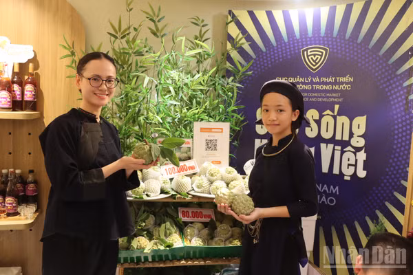 Sau khi được bảo hộ chỉ dẫn địa lý “Lạng Sơn” vào năm 2024, sản phẩm có thêm lợi thế trong quảng bá, xúc tiến và kết nối thị trường. (Ảnh: Cục Quản lý thị trường)