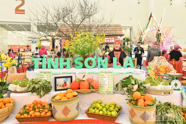 Để đặc sản vùng đồng bào dân tộc thiểu số và miền núi trở thành lựa chọn thường xuyên của người tiêu dùng, cần chuyển từ xúc tiến đơn lẻ sang phát triển chuỗi giá trị. (Ảnh: AN NGUYÊN)