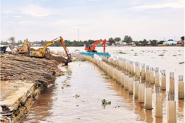 Nhà thầu đang thi công kè chống sạt lở bờ sông Cổ Chiên tại phường Long Châu, tỉnh Vĩnh Long. 