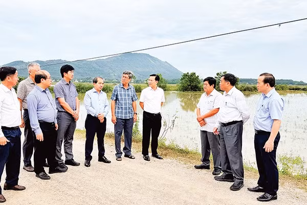 Lãnh đạo tỉnh Lâm Đồng đi kiểm tra thực tế đường liên xã Tánh Linh-Đồng Kho. 