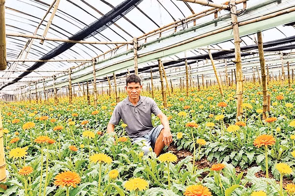Tiên phong ứng dụng công nghệ trồng hoa 