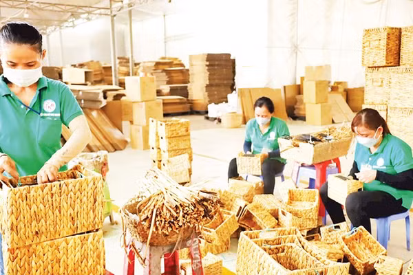 Sản phẩm từ lục bình của Hợp tác xã Kim Hưng, Cần Thơ giúp nhiều lao động nữ có việc làm. 