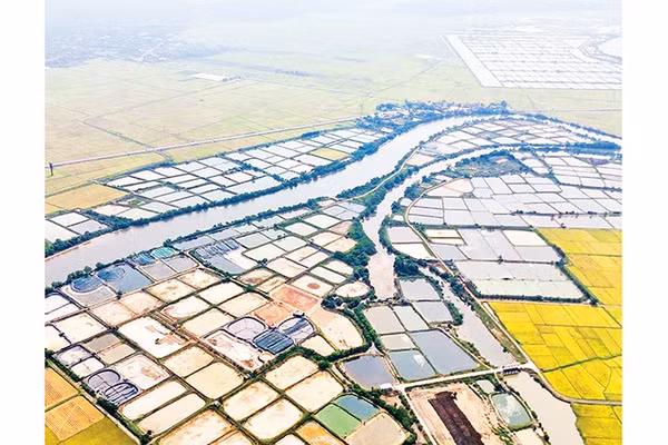 Bảo vệ vùng nuôi thủy sản mùa mưa bão 