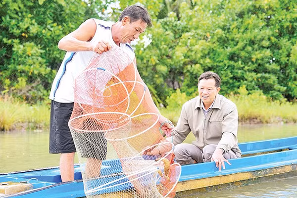 Ông Trương Thanh Sang, ấp Hiệp Bình, xã Tân Thuận, tỉnh Cà Mau (người bên trái) thu hoạch tôm quảng canh cải tiến theo mô hình nuôi mới. 
