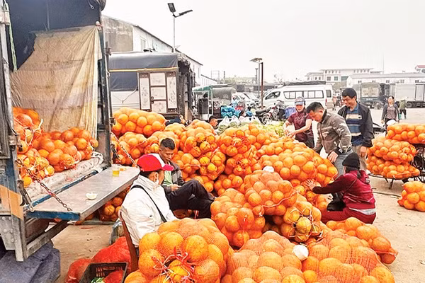 Ngoài mặt hàng rau, Vân Nội còn là chợ đầu mối mua bán các loại quả được trồng trong vùng. 