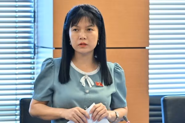 Đại biểu Quốc hội đề nghị siết tình trạng đất dự án chậm đưa vào sử dụng