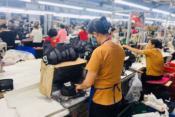 Khung đánh giá mới giúp doanh nghiệp định vị năng lực và xây dựng lộ trình chuyển đổi phù hợp. (Ảnh MINH PHƯƠNG) 