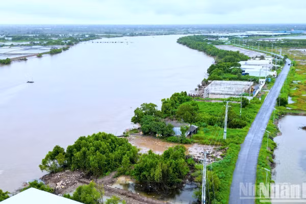 Khu vực triển khai Dự án Kè bảo vệ bờ sông thị trấn Gành Hào (đoạn G6), thuộc ấp Canh Điền, xã Gành Hào, tỉnh Cà Mau. (Ảnh: HỮU TÙNG)