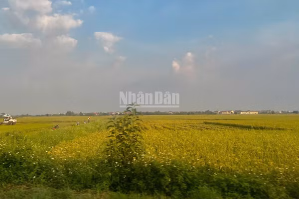Nhiều chính sách đất đai được dần tháo gỡ vướng mắc. (Ảnh: HN)