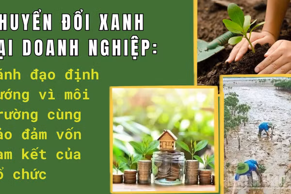 Khi lãnh đạo doanh nghiệp phụng sự môi trường, sự phát triển sẽ đạt hiệu quả bền vững. (Ảnh: HNV)