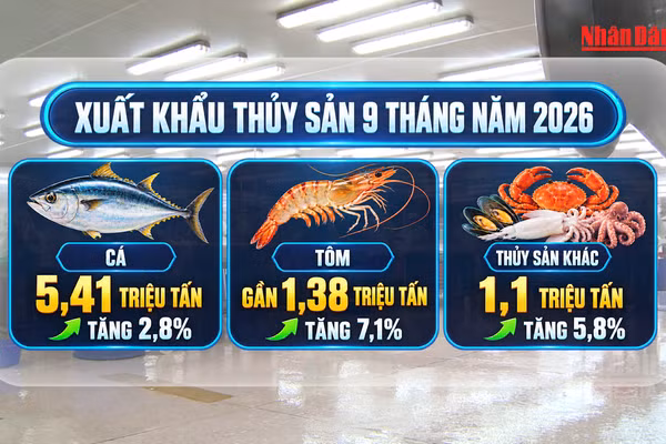 [Video] Ngành thủy sản hướng tới mục tiêu xuất khẩu 12 tỷ USD