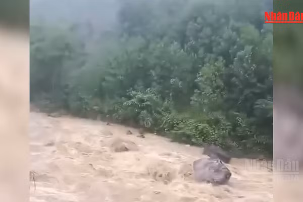 [Video] Mưa lớn gây sạt lở, đe dọa nhà dân tại miền núi Đà Nẵng