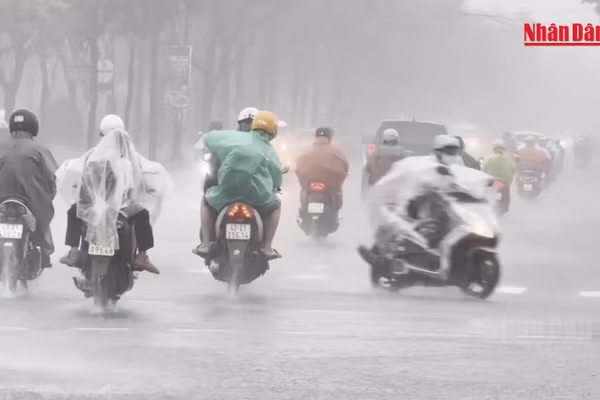[Video] Cảnh báo lũ quét, sạt lở đất tại 4 tỉnh, thành phố miền trung