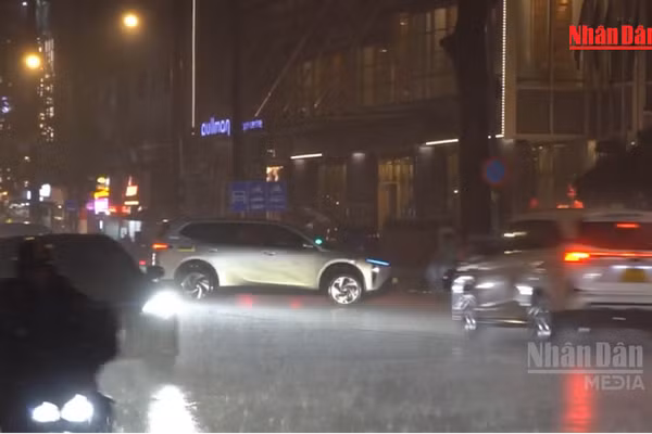 [Video] Mưa ngập tại Thành phố Hồ Chí Minh ảnh hưởng khoảng 250 chuyến xe buýt