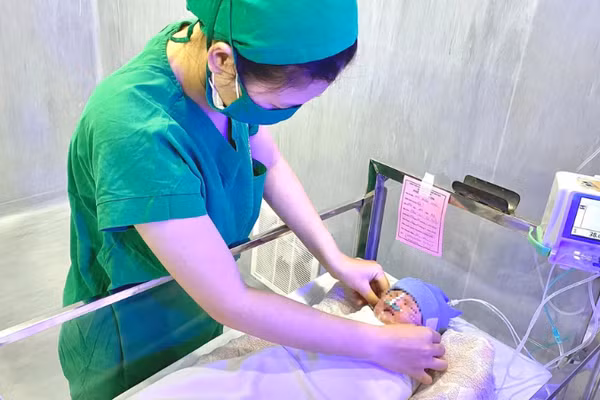 Bé gái sơ sinh đang được chăm sóc đặc biệt. Ảnh: Bệnh viện Phụ sản Cần Thơ