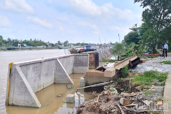 Cần Thơ xây kè kiên cố phòng, chống sạt lở bờ sông Ô Môn. (Ảnh: THANH TÂM)
