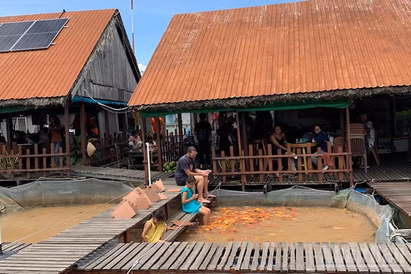 Du khách nước ngoài tham quan, trải nghiệm các loài cá quý nuôi bè trên sông Hậu. (Ảnh: THANH TÂM)
