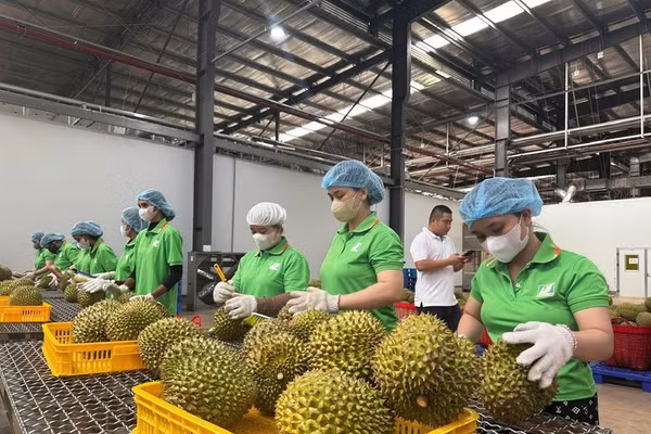 Hiện hệ thống truy xuất nguồn gốc của Việt Nam đã cập nhật khoảng 18.000 sản phẩm của 26/34 tỉnh, thành phố, với 255 vùng trồng và 149 doanh nghiệp tham gia.