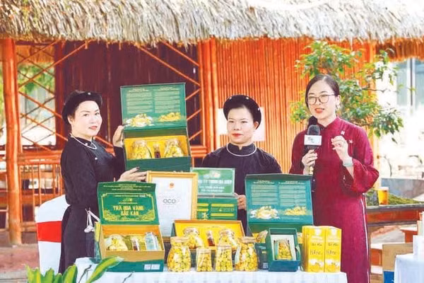 Các gian hàng trưng bày, giới thiệu sản phẩm (Ảnh TIẾN TÙNG)