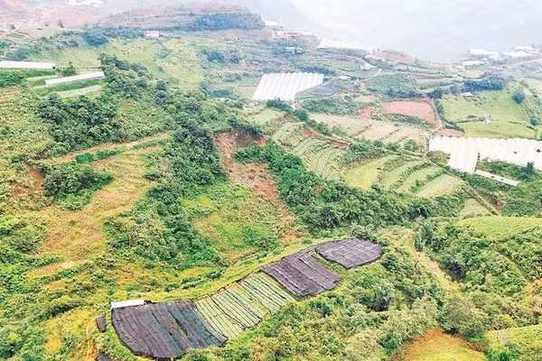 Sa Pa hiện có hơn 300 ha nông nghiệp ứng dụng công nghệ cao và theo hướng công nghệ cao, tạo giá trị hơn 200 tỷ đồng mỗi năm.