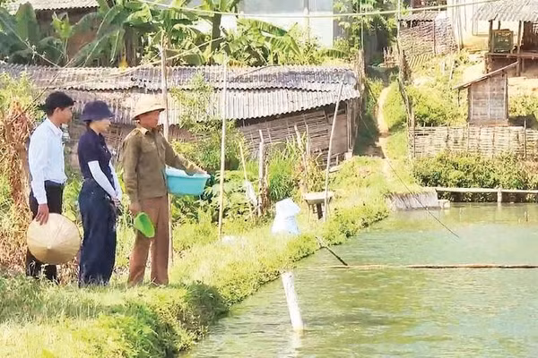 Hội viên Chi hội nghề cá bản Lún Liếng, xã Thanh Yên (tỉnh Điện Biên) trao đổi kinh nghiệm chăm sóc cá khi thời tiết chuyển mùa.