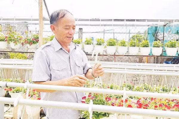 Nông dân Nguyễn Trung Tuyến chăm sóc các loại hoa để chuẩn bị xuất bán.