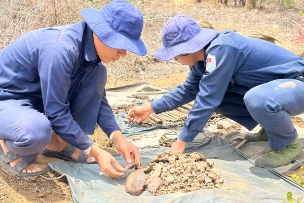 Bộ phận 2, Đội K73 (Bộ Chỉ huy Quân sự tỉnh Tây Ninh) phát hiện và quy tập hài cốt liệt sĩ trên đất bạn Campuchia, tháng 5/2026. (Ảnh: nhandan.vn)