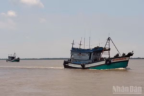 Tây Ninh đặt mục tiêu đến trước ngày 10/9/2026 xác định rõ tình trạng và biện pháp quản lý đối với toàn bộ 82 tàu chưa đủ điều kiện hoạt động.