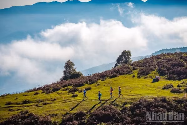 Giải chạy địa hình vượt núi Vietnam Mountain Marathon 2026 hứa hẹn bùng nổ tại Sa Pa. (Ảnh: Ủy ban nhân dân phường Sa Pa)