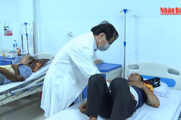 [Video] 3 thai phụ, 41 bệnh nhi bị ngộ độc trong vụ ăn bánh mì tại Quảng Ngãi