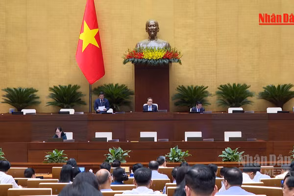 [Video] Trình Quốc hội tăng 50% mức phạt hành chính tối đa
