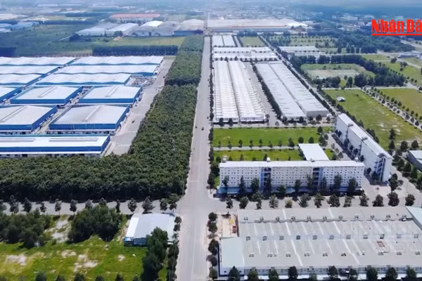[Video] Doanh nghiệp không kê khai chủ sở hữu hưởng lợi có thể bị phạt đến 100 triệu đồng