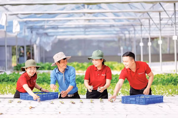 Các doanh nghiệp muốn tham gia sâu vào chuỗi giá trị rất cần nguồn vốn trung dài hạn. (Ảnh: KHÁNH ANH)