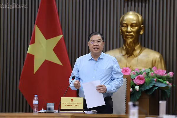 Phó Thủ tướng Thường trực Phạm Gia Túc phát biểu tại cuộc họp tháo gỡ khó khăn, vướng mắc cho Dự án Nhà máy nhiệt điện LNG Công Thanh. (Ảnh: chinhphu.vn)