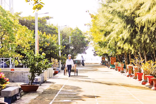 Cây xanh trên đảo Sinh Tồn. 