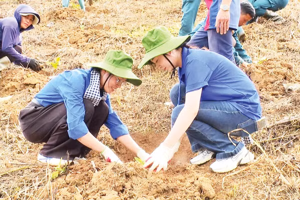 Đoàn viên, thanh niên xã Mường Mùn tham gia trồng cây cà-phê.